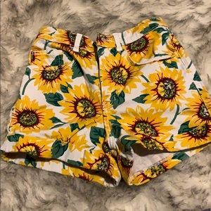 American Apparel sunflower high waisted shorts
